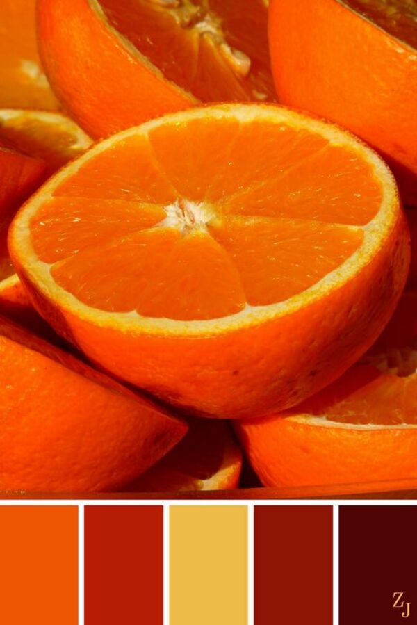 Màu cam trong thiết kế website