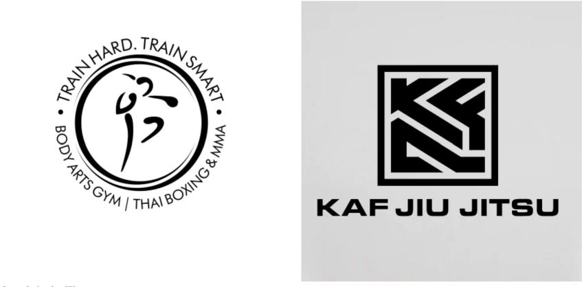 Mẫu thiết kế logo võ thuật sử dụng hình ảnh trừu tượng