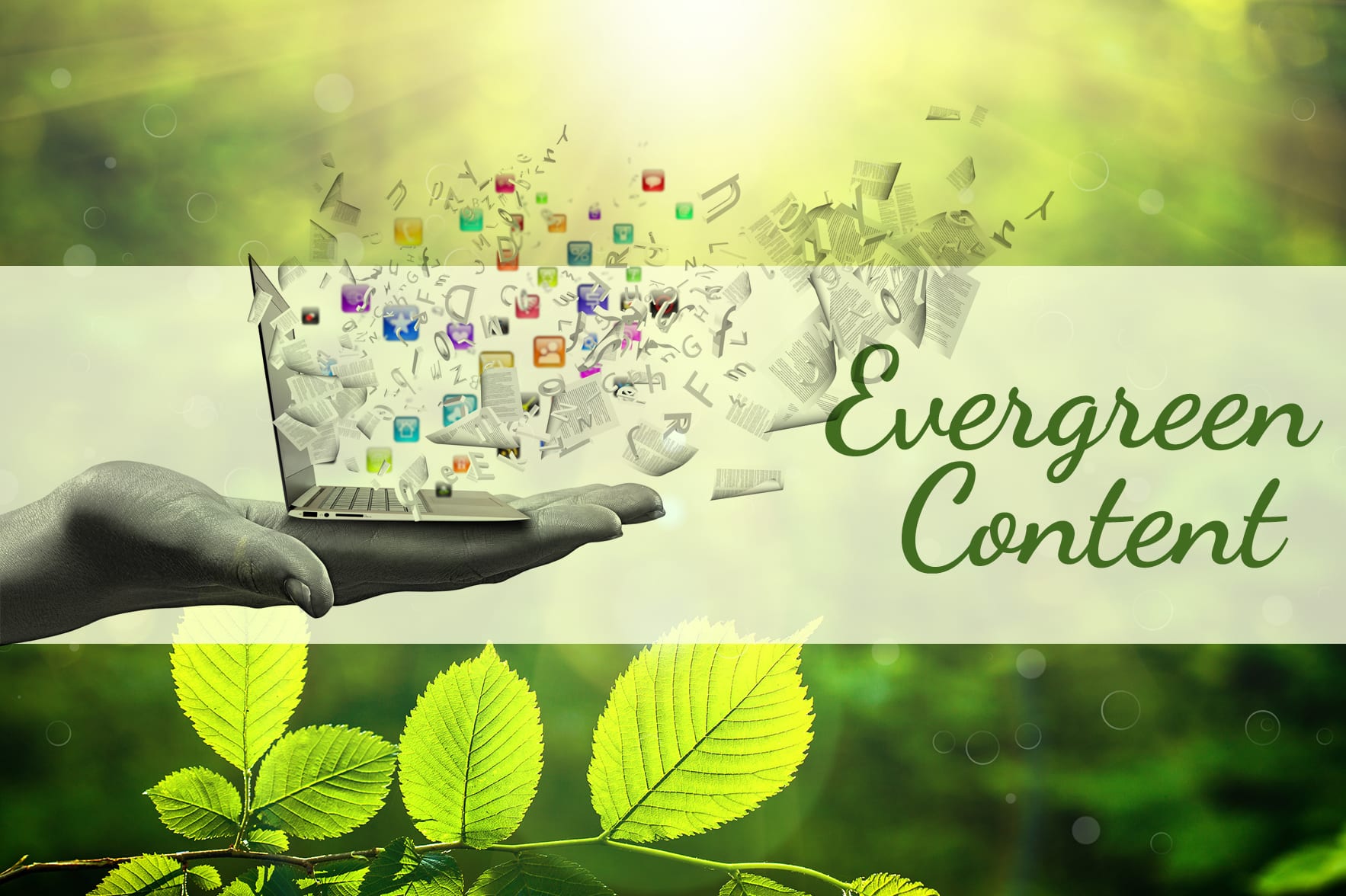 Evergreen content là gì? Mẹo tối ưu Evergreen conten hiệu quả nhất cho website