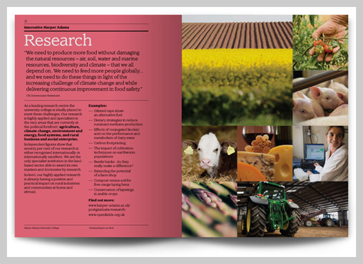 Mẫu thiết kế catalogue giáo dục về dự án nghiên cứu