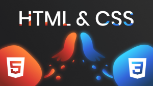 Định nghĩa và ứng dụng về HTML và CSS